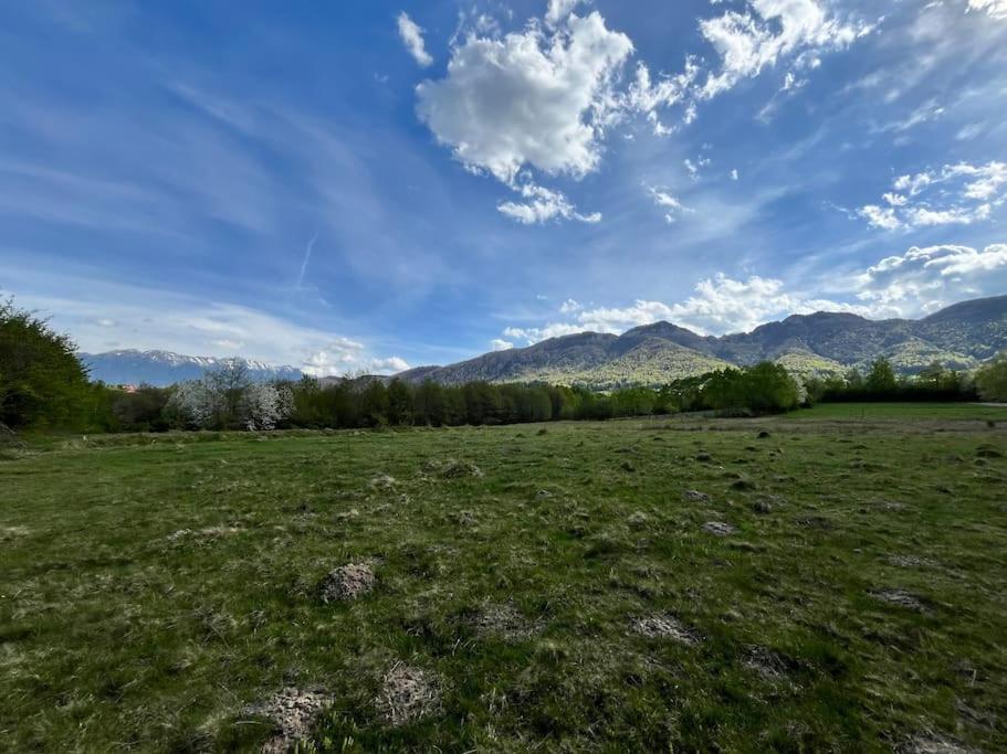 Alpine Chalet Predelut Exteriér fotografie