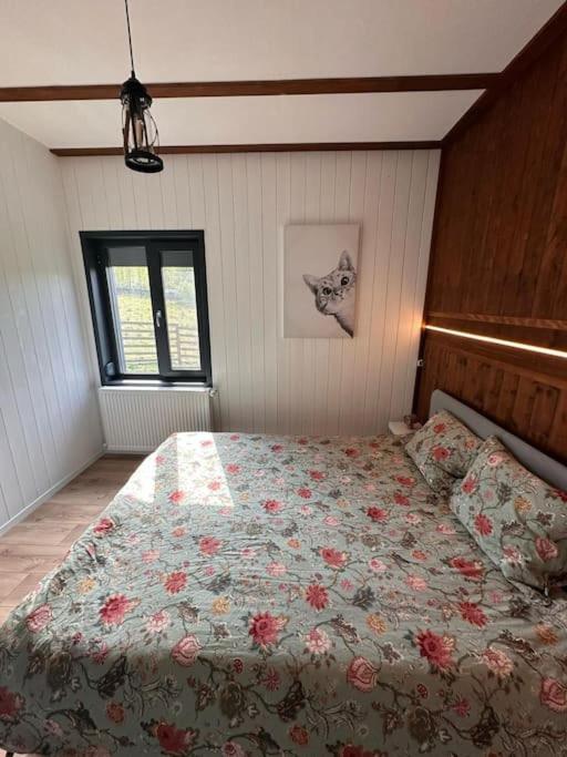 Alpine Chalet Predelut Exteriér fotografie