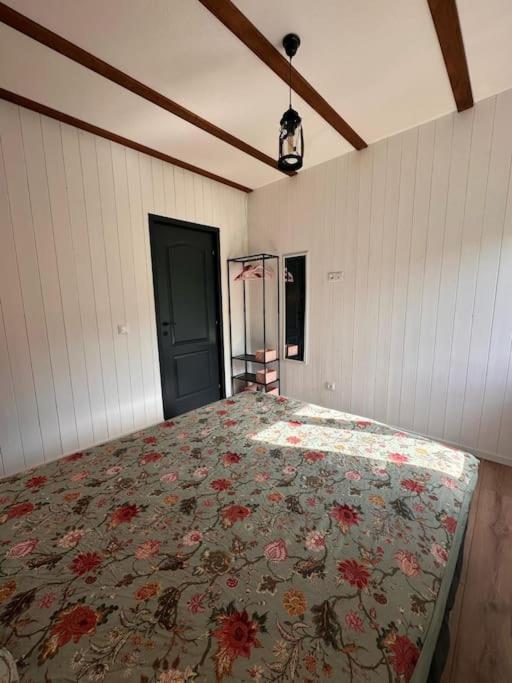 Alpine Chalet Predelut Exteriér fotografie